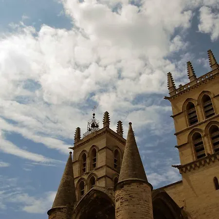 Campanules Montpellier