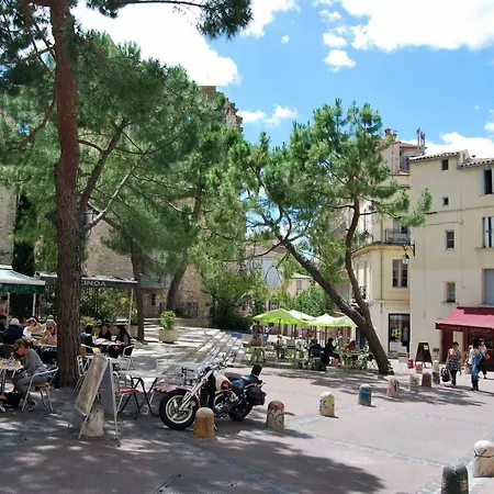 Campanules * Montpellier