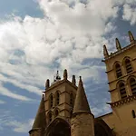 Campanules Montpellier