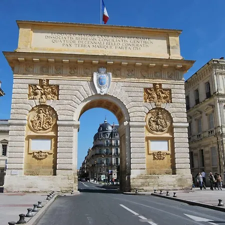 Campanules Montpellier