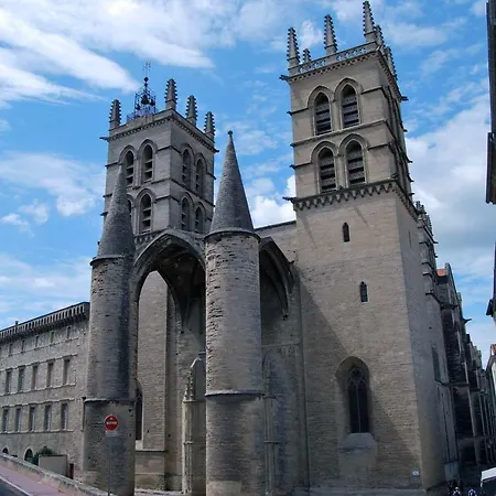 Campanules *